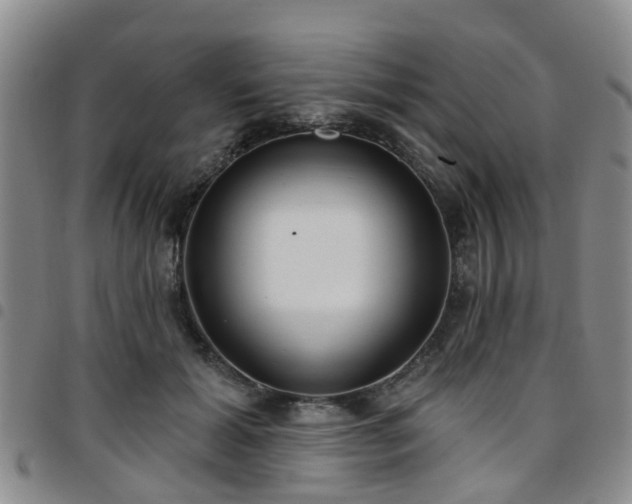 X0000097750605200803141558