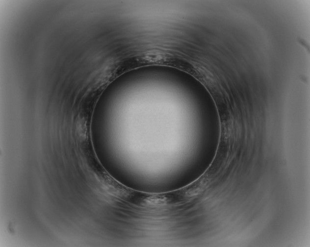 X0000097750606200803141558