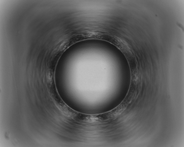 X0000097750607200803141558