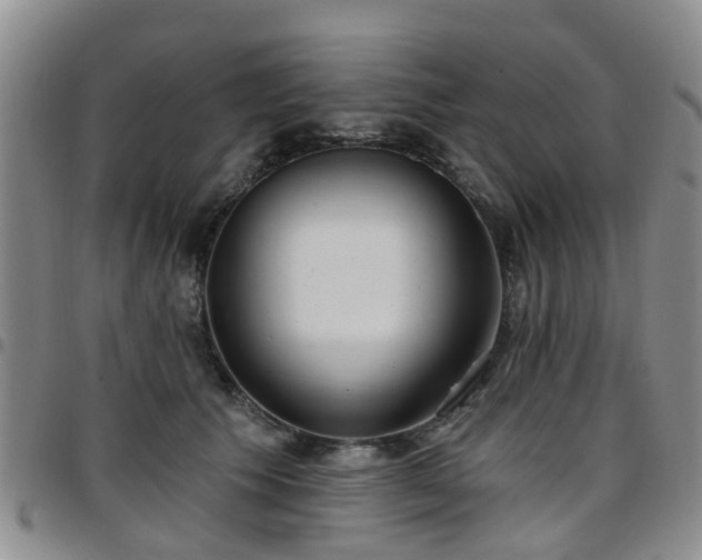 X0000097750609200803141558