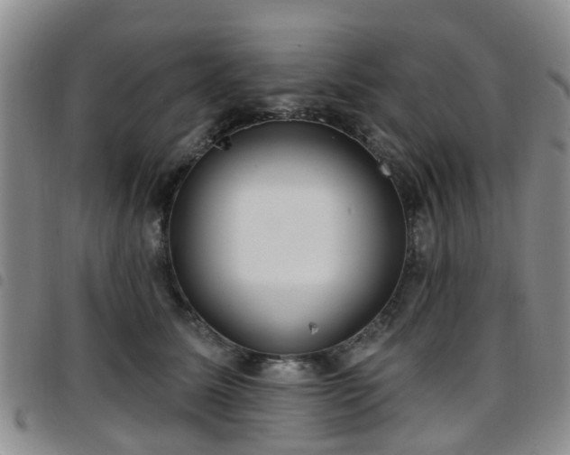 X0000097750611200803141558