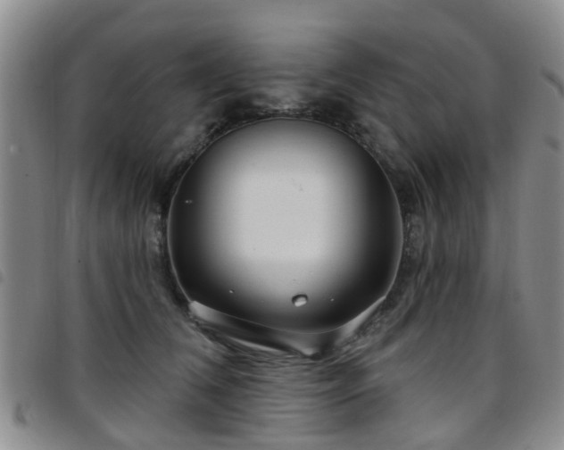 X0000097750612200803141558