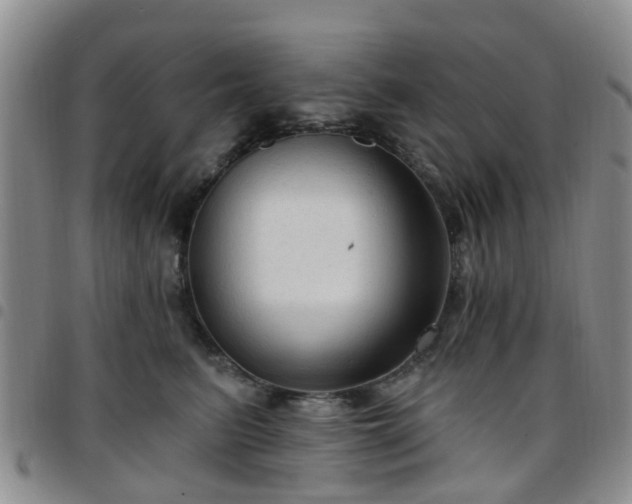 X0000097750615200803141558