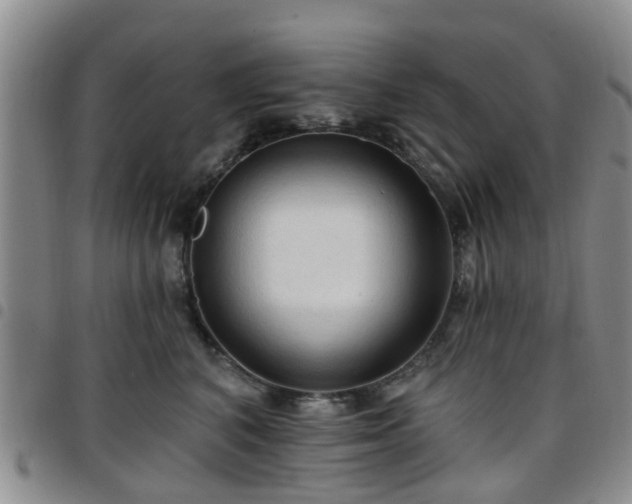 X0000097750616200803141558