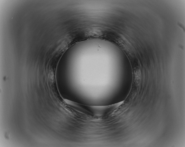 X0000097750617200803141558