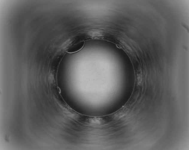 X0000097750618200803141558