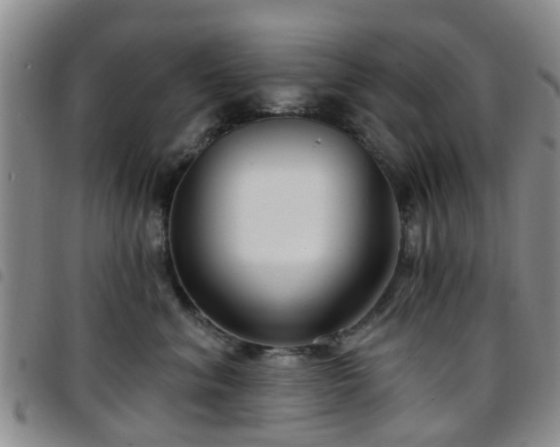 X0000097750620200803141558