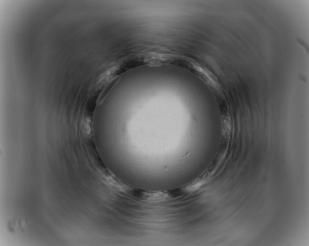 X0000097750621200803141558