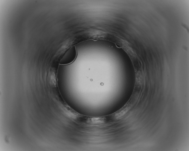 X0000097750622200803141558