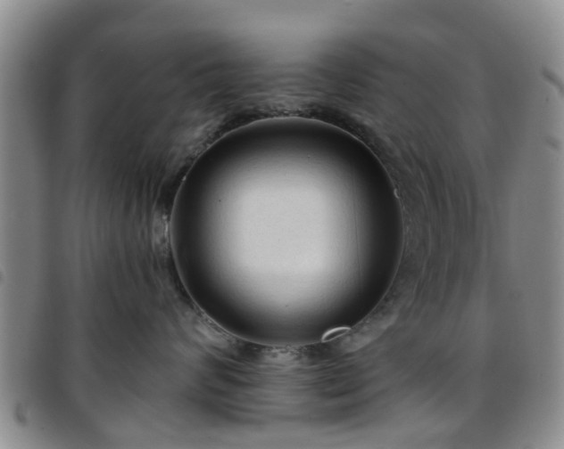 X0000097750624200803141558