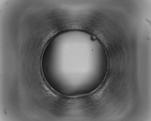 X0000097750625200803141557