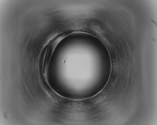 X0000097750626200803141557