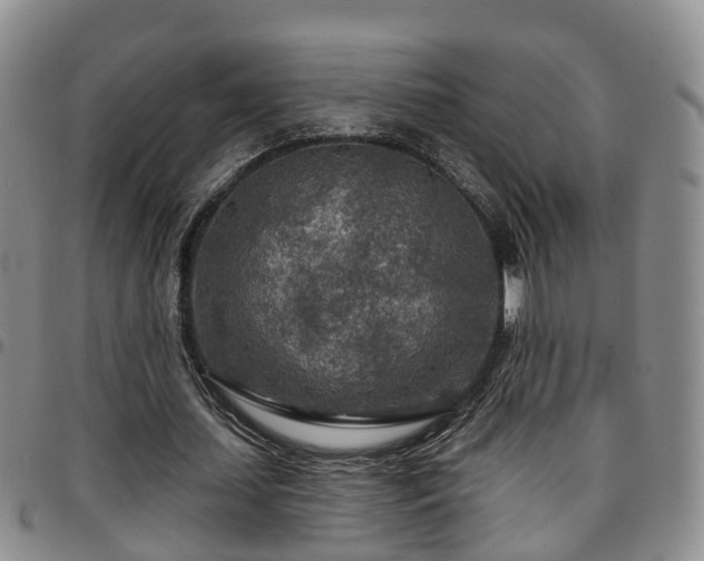 X0000097750627200803141557