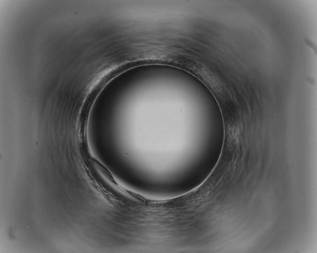 X0000097750628200803141557