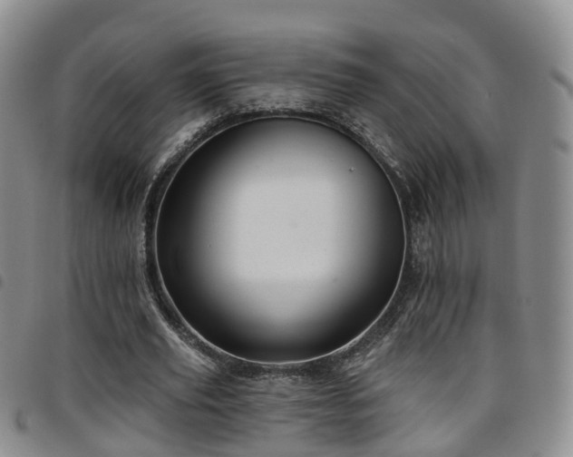 X0000097750629200803141557