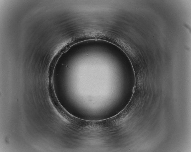 X0000097750630200803141557