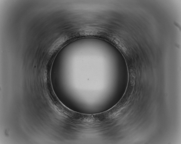 X0000097750631200803141557