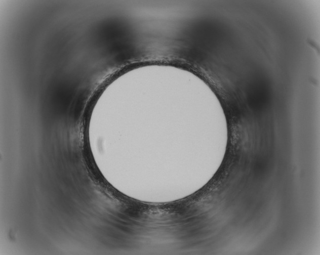 X0000097750632200803141557