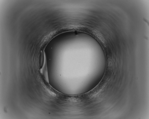 X0000097750633200803141557