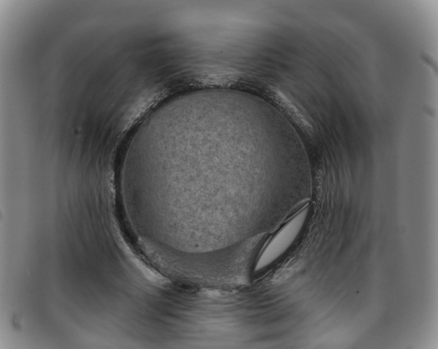 X0000097750634200803141557