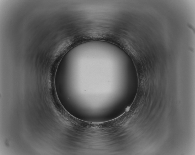 X0000097750635200803141557