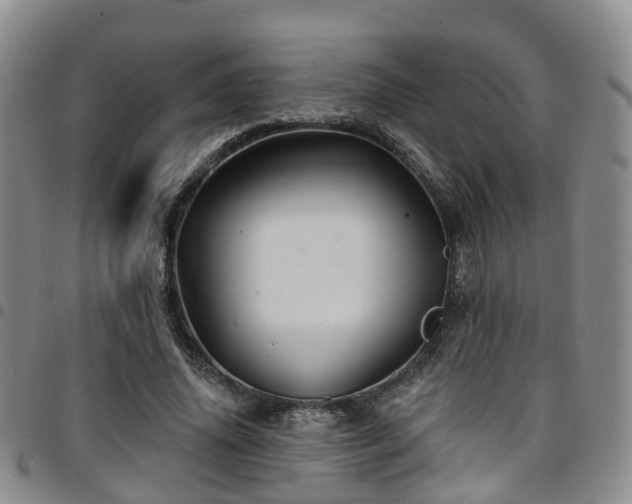 X0000097750636200803141557