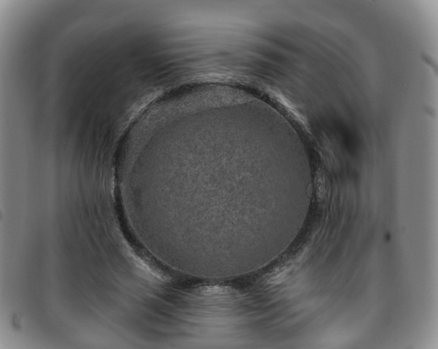 X0000097750637200803141557