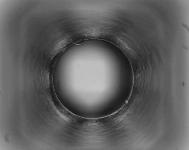 X0000097750638200803141557