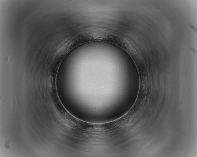 X0000097750639200803141557