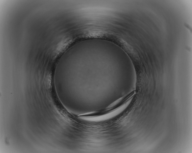 X0000097750640200803141557