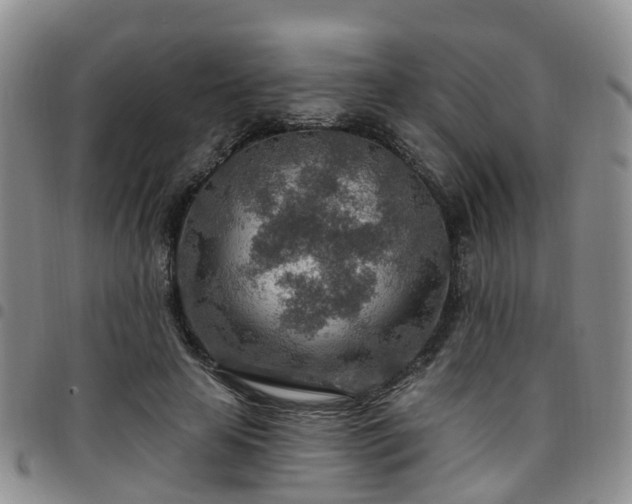 X0000097750641200803141557