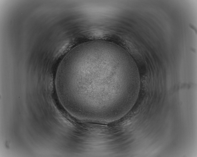 X0000097750642200803141557