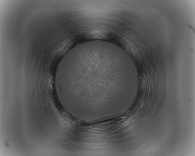 X0000097750643200803141557