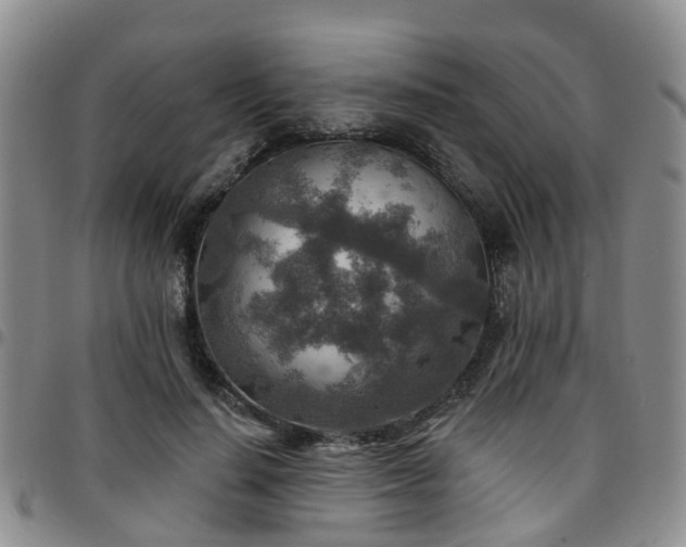 X0000097750644200803141557