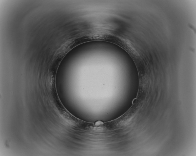 X0000097750645200803141557