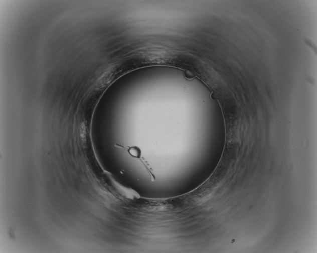 X0000097750646200803141557