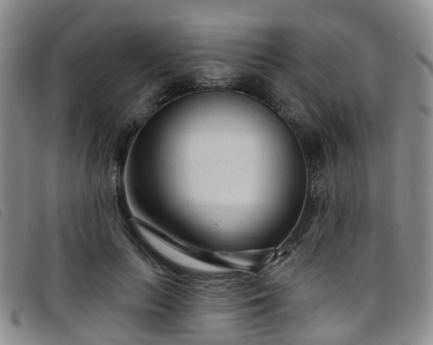 X0000097750647200803141557