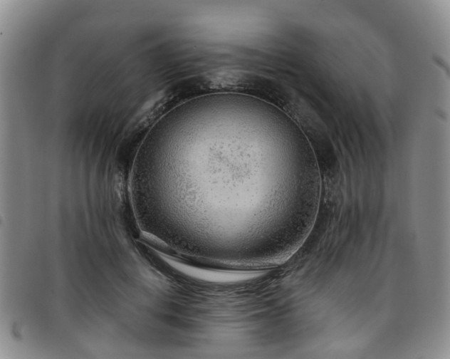 X0000097750648200803141557