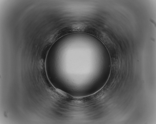 X0000097750649200803141557