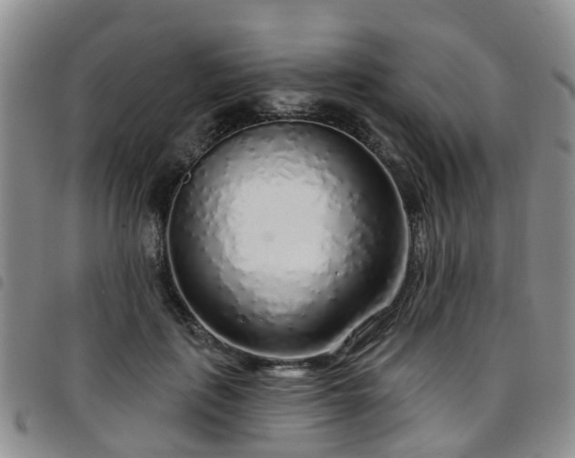 X0000097750651200803141557