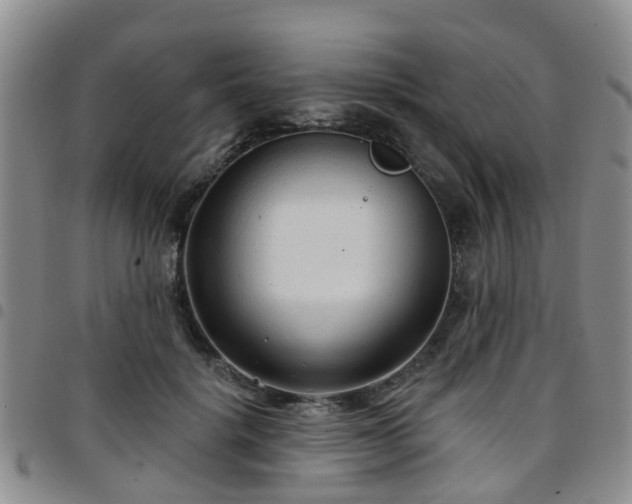 X0000097750652200803141557