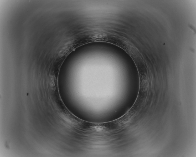 X0000097750654200803141557