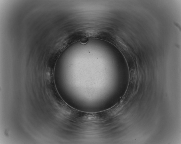 X0000097750655200803141557