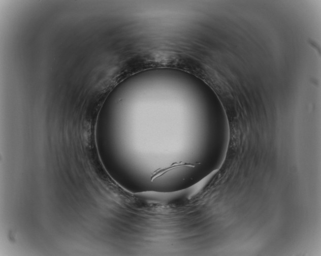 X0000097750656200803141557