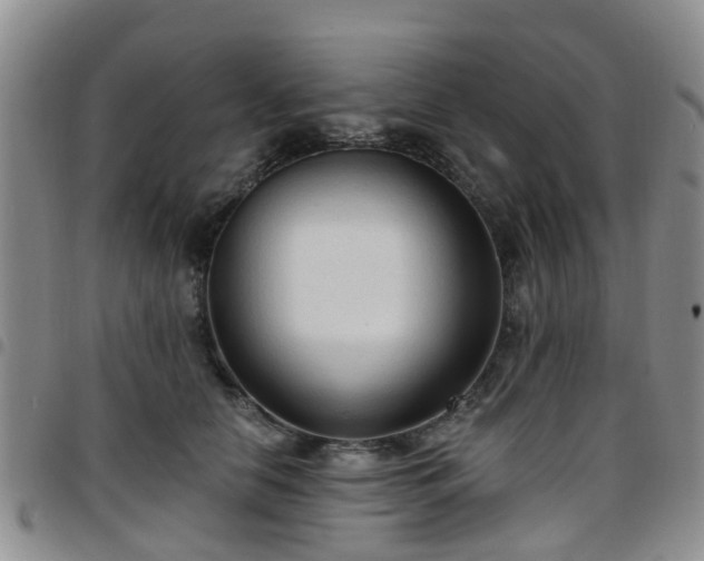 X0000097750658200803141557