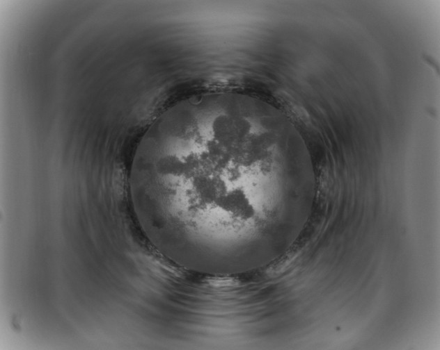 X0000097750659200803141557