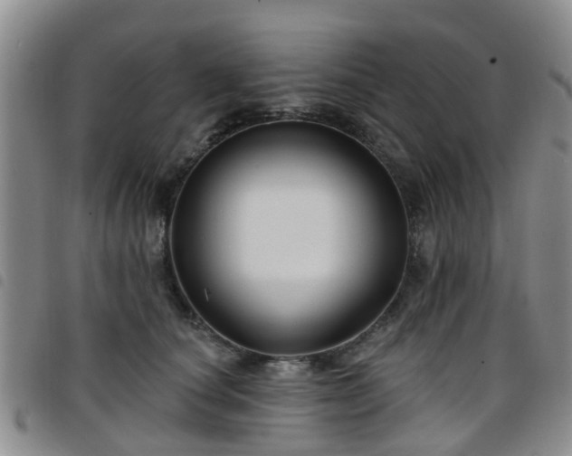 X0000097750660200803141557