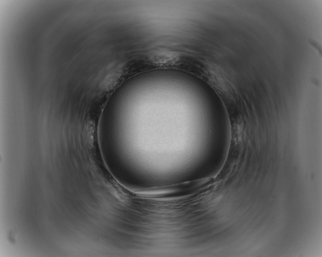 X0000097750664200803141558