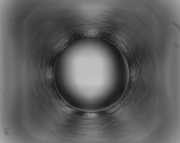 X0000097750665200803141558