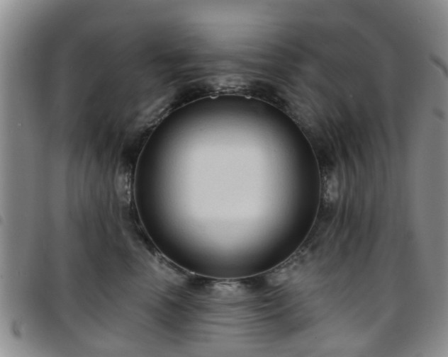 X0000097750666200803141558